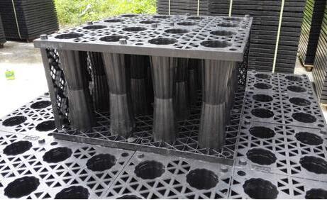 pp雨水收集模塊：五大特點(diǎn)闡述其魔力，帶你實(shí)勘現(xiàn)場(chǎng)安裝步驟！